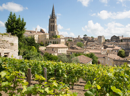 The Evolution of Wine Regions