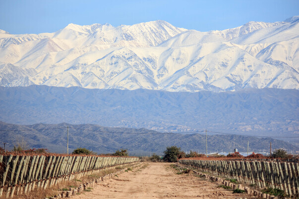 mendoza-vineyards-mountains